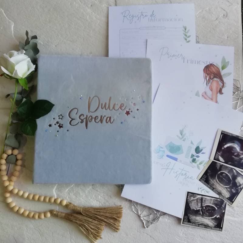 Carpeta de control de embarazo (Prenatal)