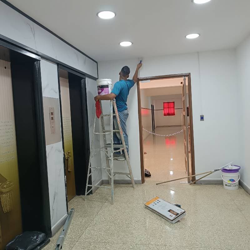 Pintura general